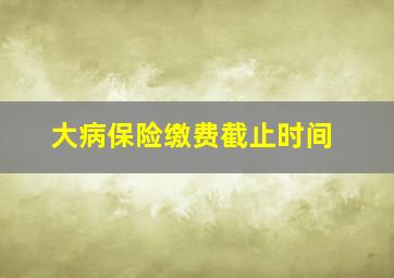 大病保险缴费截止时间