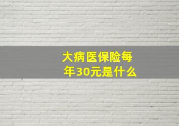 大病医保险每年30元是什么