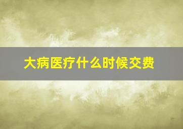 大病医疗什么时候交费