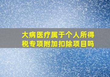 大病医疗属于个人所得税专项附加扣除项目吗