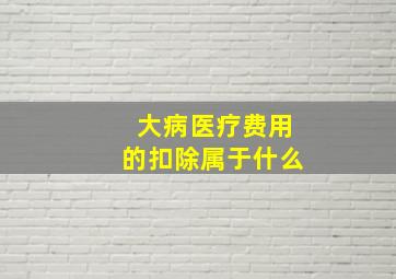 大病医疗费用的扣除属于什么