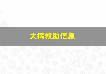 大病救助信息