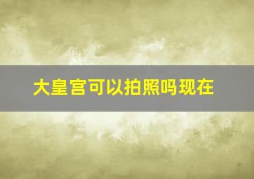 大皇宫可以拍照吗现在