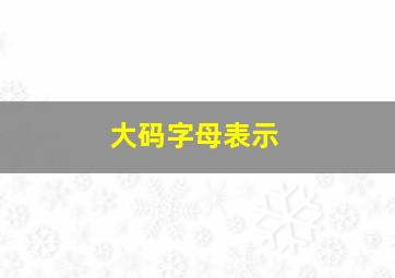 大码字母表示