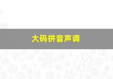 大码拼音声调