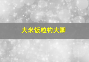 大米饭粒钓大鲫