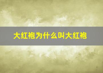 大红袍为什么叫大红袍