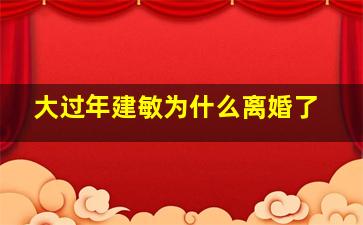 大过年建敏为什么离婚了