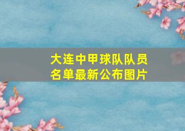 大连中甲球队队员名单最新公布图片