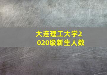 大连理工大学2020级新生人数