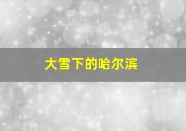 大雪下的哈尔滨