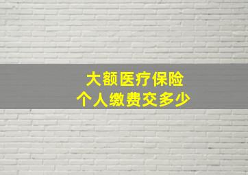 大额医疗保险个人缴费交多少