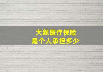 大额医疗保险是个人承担多少