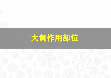 大黄作用部位