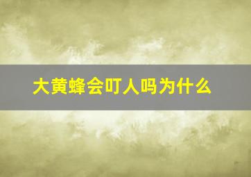 大黄蜂会叮人吗为什么