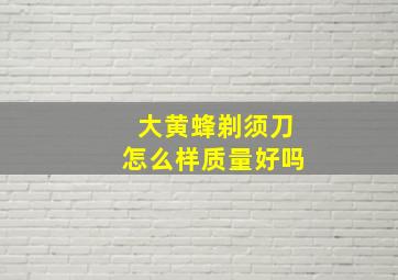 大黄蜂剃须刀怎么样质量好吗