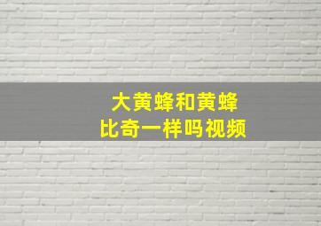 大黄蜂和黄蜂比奇一样吗视频