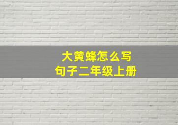 大黄蜂怎么写句子二年级上册