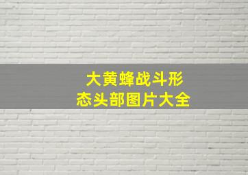 大黄蜂战斗形态头部图片大全