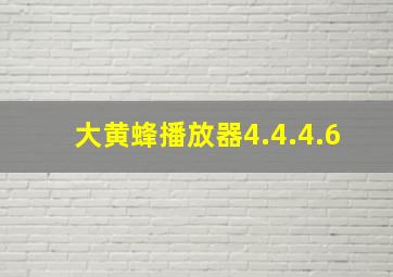 大黄蜂播放器4.4.4.6