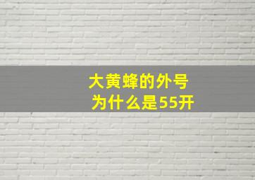 大黄蜂的外号为什么是55开