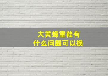 大黄蜂童鞋有什么问题可以换