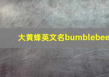 大黄蜂英文名bumblebee