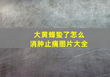 大黄蜂蛰了怎么消肿止痛图片大全