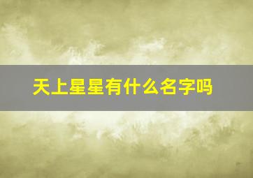 天上星星有什么名字吗