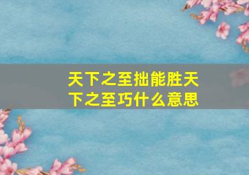 天下之至拙能胜天下之至巧什么意思