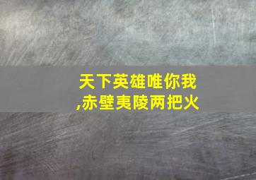 天下英雄唯你我,赤壁夷陵两把火