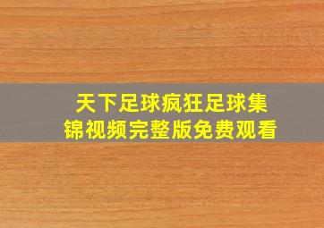 天下足球疯狂足球集锦视频完整版免费观看