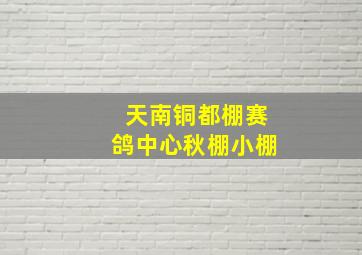 天南铜都棚赛鸽中心秋棚小棚