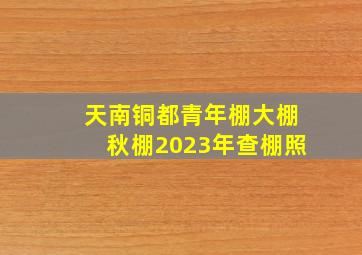 天南铜都青年棚大棚秋棚2023年查棚照