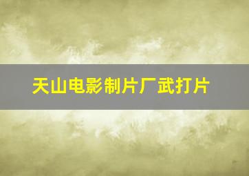 天山电影制片厂武打片