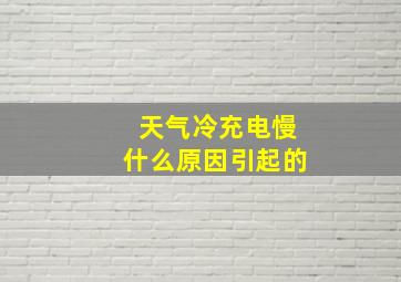 天气冷充电慢什么原因引起的