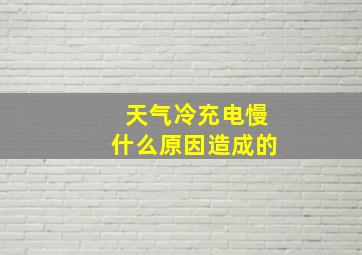 天气冷充电慢什么原因造成的