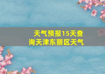 天气预报15天查询天津东丽区天气