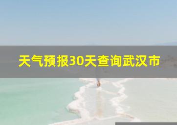 天气预报30天查询武汉市