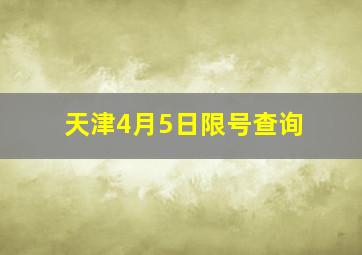 天津4月5日限号查询