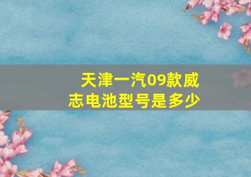 天津一汽09款威志电池型号是多少