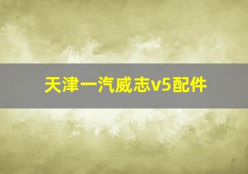 天津一汽威志v5配件