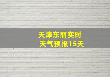 天津东丽实时天气预报15天