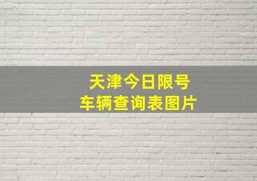 天津今日限号车辆查询表图片