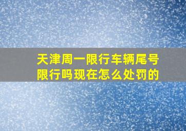 天津周一限行车辆尾号限行吗现在怎么处罚的