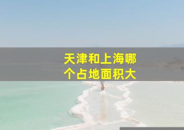 天津和上海哪个占地面积大