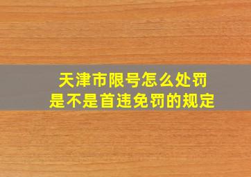 天津市限号怎么处罚是不是首违免罚的规定