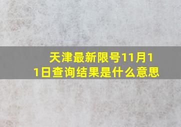 天津最新限号11月11日查询结果是什么意思