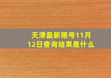 天津最新限号11月12日查询结果是什么