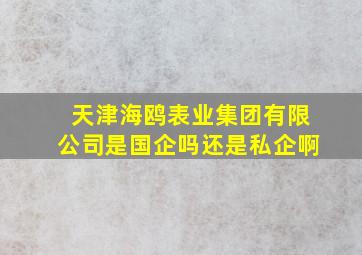 天津海鸥表业集团有限公司是国企吗还是私企啊